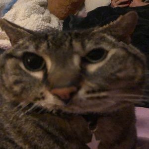 Meet your Posher, Evan